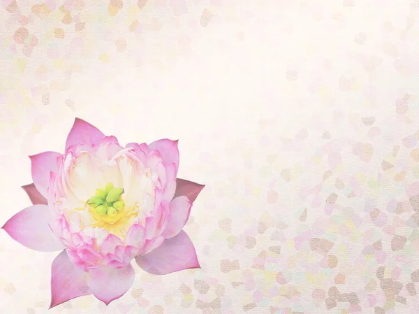 Roze lotus op de oude grunge papier achtergrond — Stockfoto