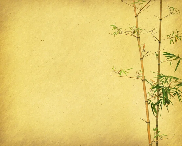Projekt bambus chiński drzewa z tekstury papieru czerpanego — Zdjęcie stockowe