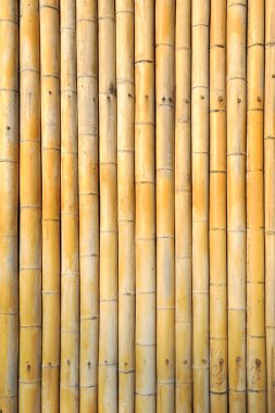 Light Golden bamboo clipart