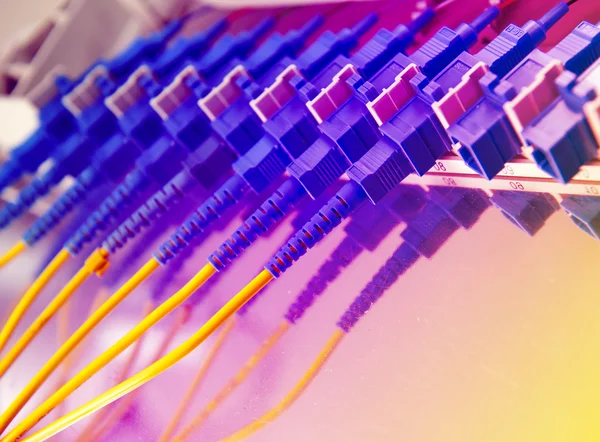 stock image Optic fiber cables connected to an optic switch