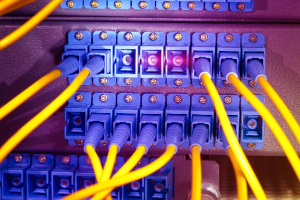 Glasfaserkabel, die mit einem optischen Schalter verbunden sind — Stockfoto