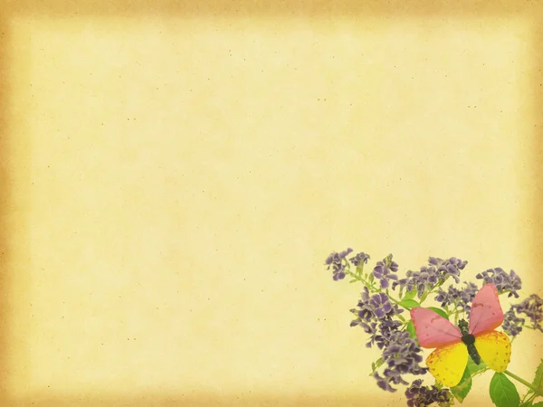 Borboleta e flor no fundo Grunge — Fotografia de Stock