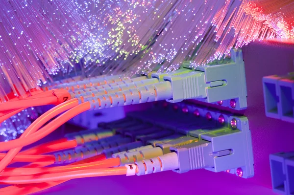 拍摄的网络电缆和技术的数据中心中的服务器 — 图库照片