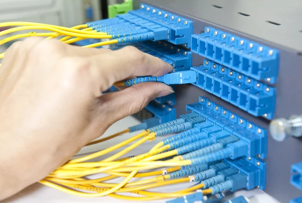 Cavi in fibra ottica collegati a un interruttore ottico — Foto Stock