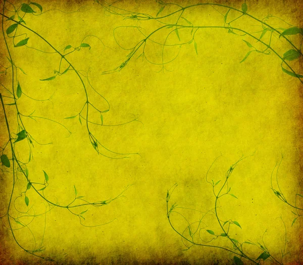 Зеленый плющ на старой гранж антикварной бумажной текстуре — стоковое фото