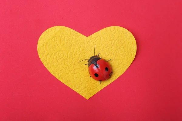 Heart with ladybug — Stock Photo, Image