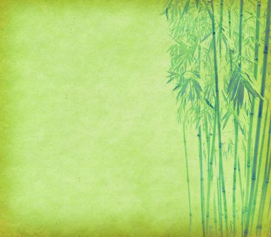 Eski grunge antika kağıt dokusu üzerinde bambu
