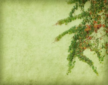 Eski antika kağıt arkaplan