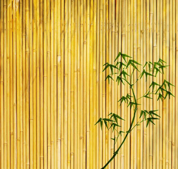 Stock image Design of chinese bamboo trees with texture of handmade paper