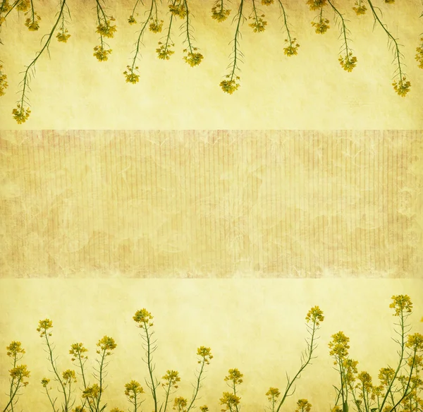 Grungy background.old papier koolzaad — Stockfoto