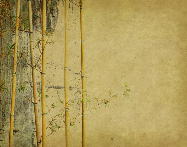 竹子在古旧的磨擦古纸质感上 — 图库照片