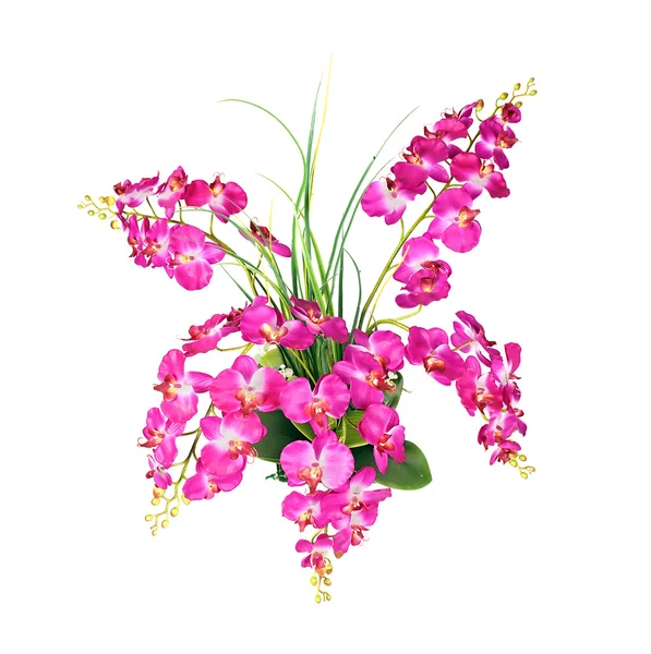 Schöne rosa Orchideenblume — Stockfoto
