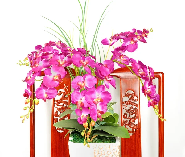 Hermosa flor de orquídea rosa —  Fotos de Stock