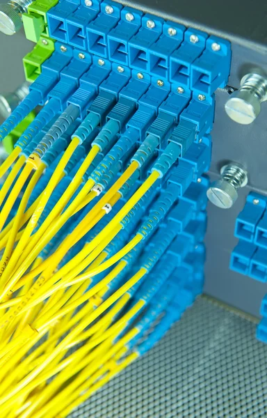 Cuadro de distribución de fibra óptica con cables — Foto de Stock