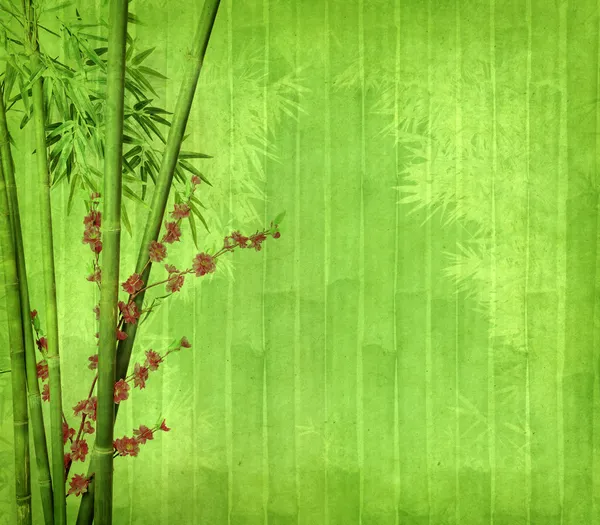 Bambu pada tekstur kertas antik grunge lama — Stok Foto