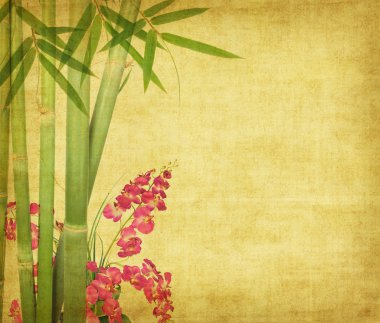 Bamboo on old grunge antique paper texture clipart