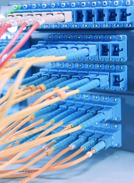 Fibra óptica rede cabos patch painel e interruptor — Fotografia de Stock