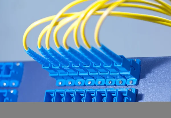 Волоконно-оптичні мережеві кабелі патч панель і перемикач — стокове фото