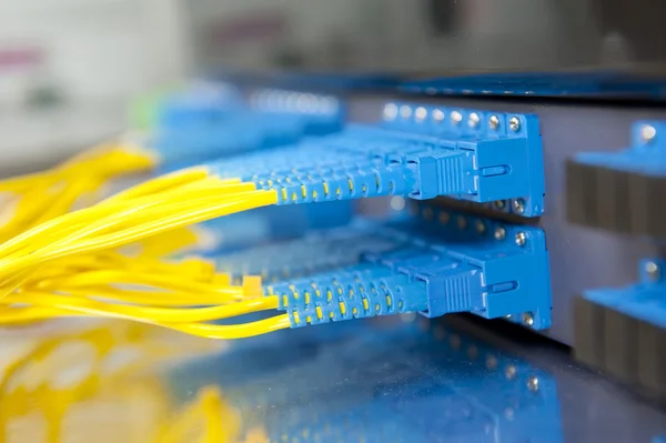 Fiber optical network cables patch panel and switch — Stock Photo, Image