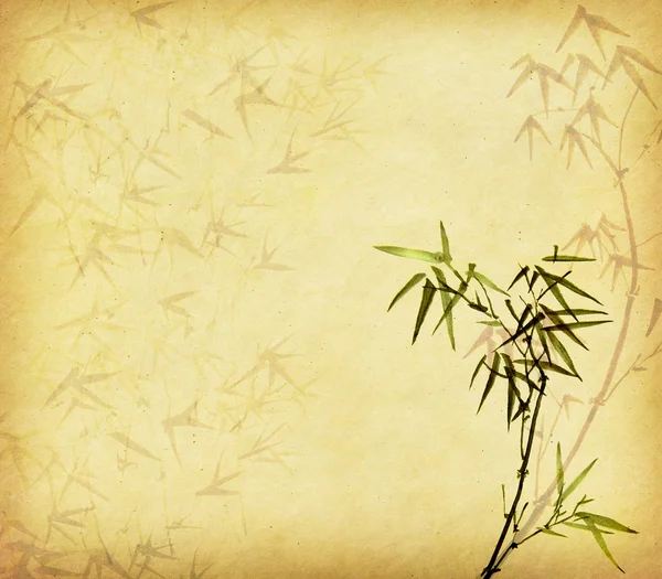 Bamboo on old grunge paper texture background — Stock Photo, Image