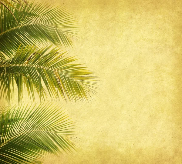 Palm z zestawu streszczenie tło malowane — Zdjęcie stockowe