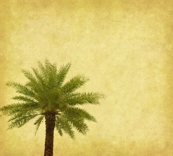 Palm with set of abstract painted background — Stock Photo, Image