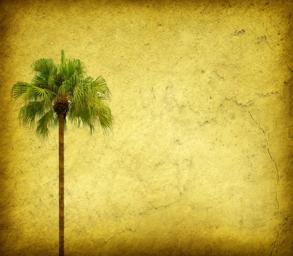 Palm with set of abstract painted background — Stock Photo, Image