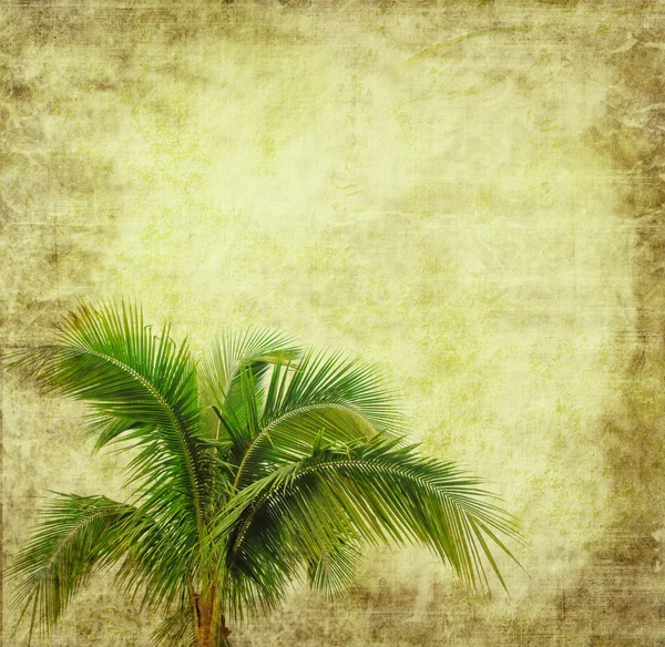Palme mit abstrakt bemalten Hintergrund — Stockfoto
