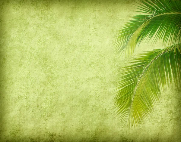 Palm met set van abstract achtergrond geschilderd — Stockfoto