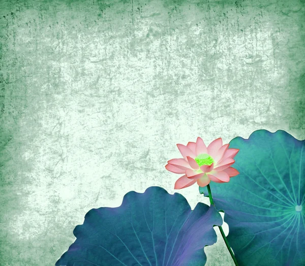 Water Lily on grunge textured background — Stock Photo, Image