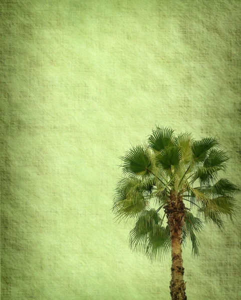 Palmier avec ensemble de fond peint abstrait — Photo