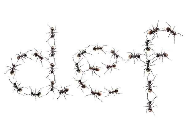 Linie pracovník mravenci pochodují do cíle písmena abecedy. — Stock fotografie