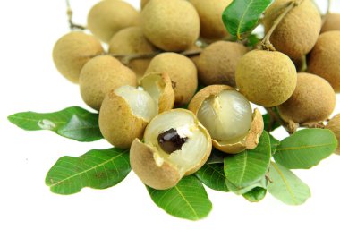 Longan yeşil ağaçta