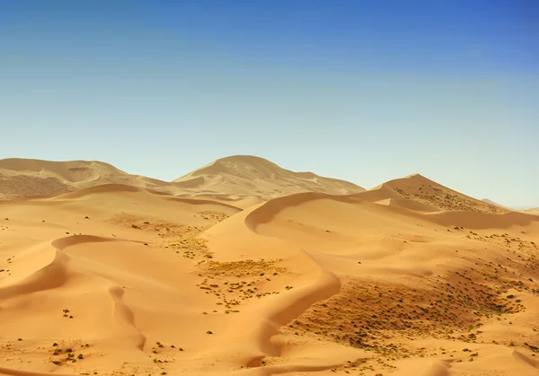 Sivatagos dűne — Stock Fotó