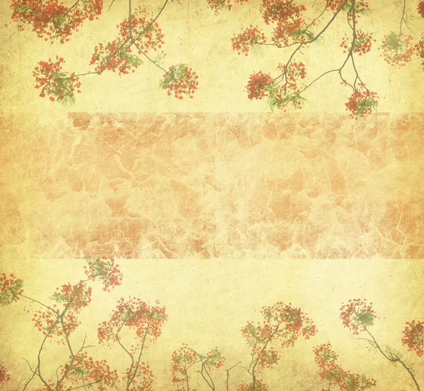 Pfauenblumen auf Baum mit altem Altpapier Hintergrund — Stockfoto