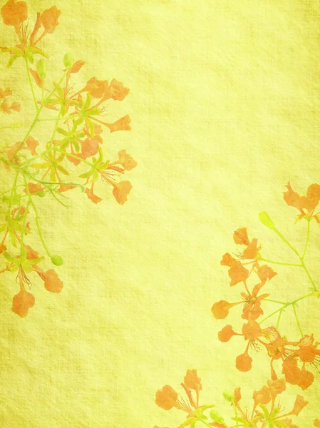 Pfauenblumen auf Baum mit altem Altpapier Hintergrund — Stockfoto