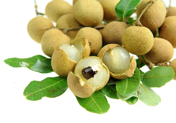 stock image Longan on the green tree