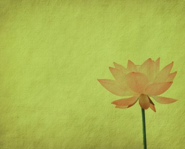 Lotus with set of abstract painted background clipart