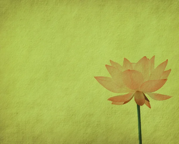 Lotus met set van geschilderde abstracte achtergrond — Stockfoto