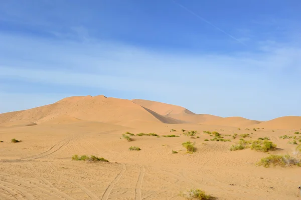 Sivatagos dűne — Stock Fotó