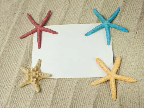 Sea frame with starfish — Stock Photo, Image