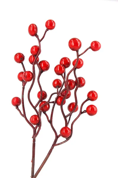 红浆果枝条 — 图库照片