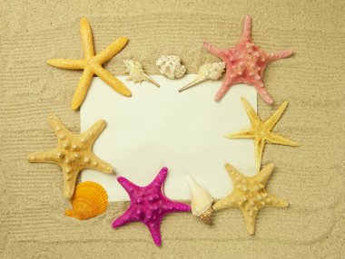 Deniz çerçeve ile starfishes