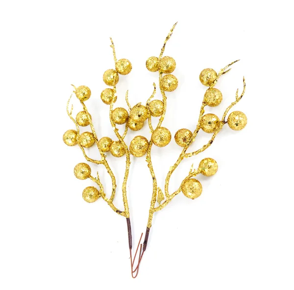 Золотая ветвь папоротника — стоковое фото