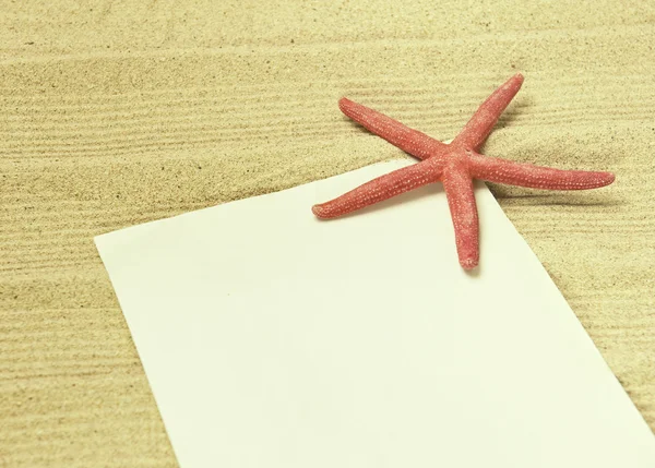 Moře rám s starfishes — Stock fotografie