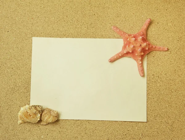 Морская рама с морской звездой — стоковое фото