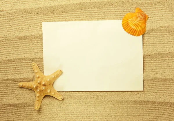 Hvězdice a mušle s rámečkem na pláži, dovolená vzpomínky — Stock fotografie