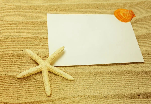 Havet ram med starfishes — Stockfoto