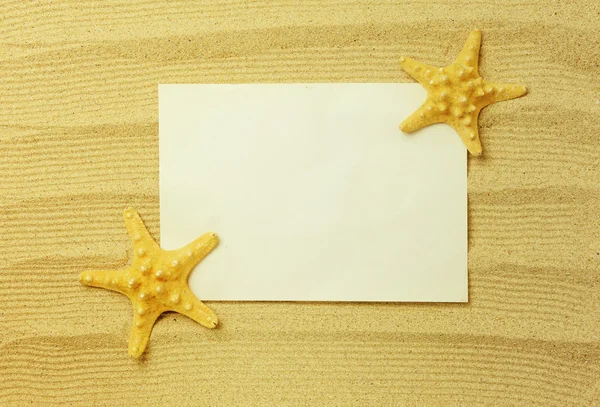 Морская рама с морскими звездами — стоковое фото