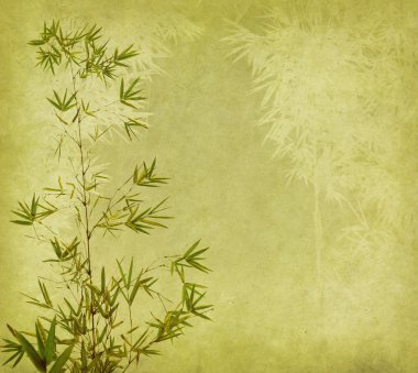 Bamboo on old grunge antique paper texture clipart